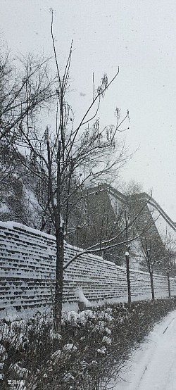 城墙与雪景